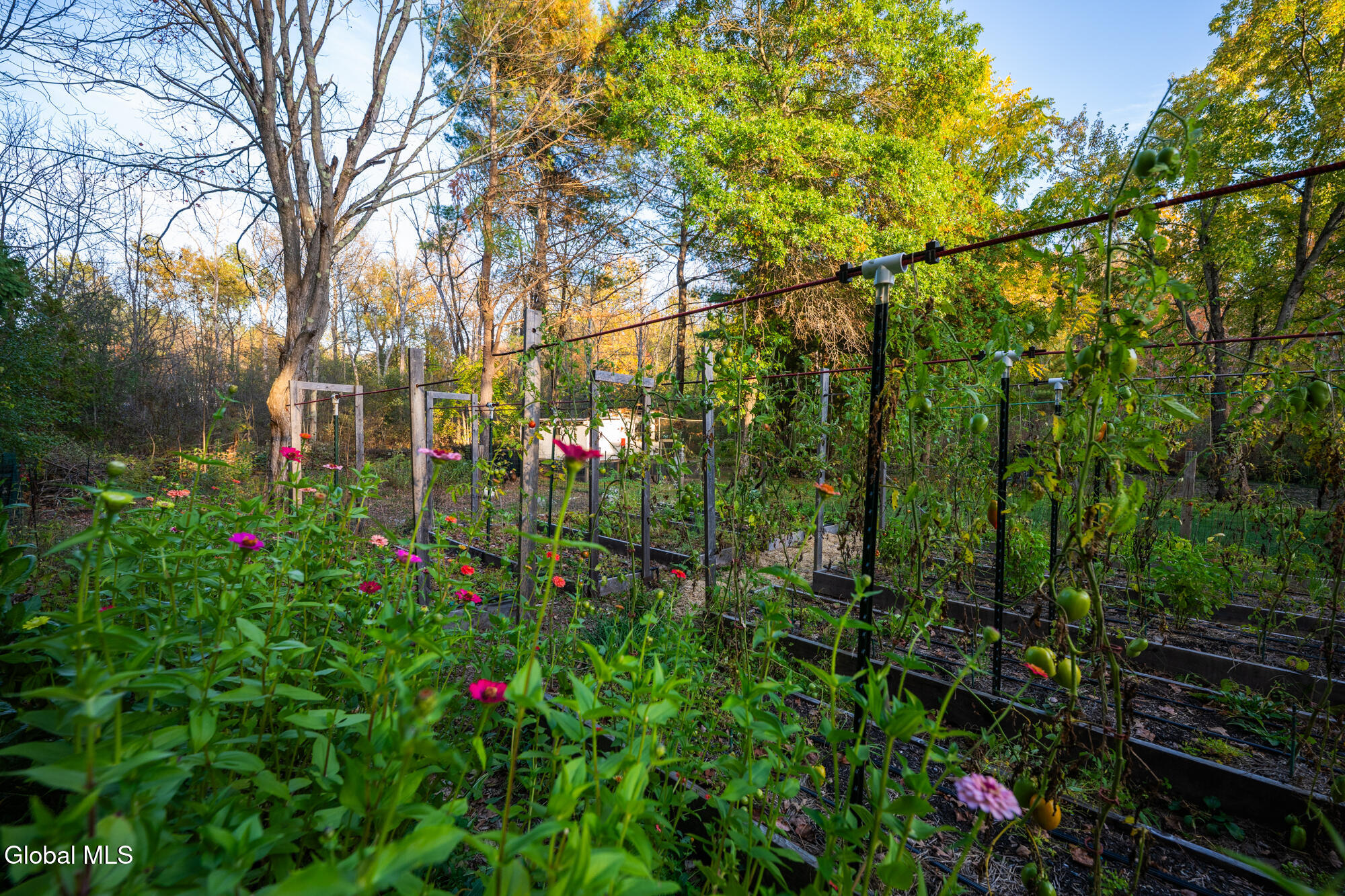 261 Old Post Road Malta, NY 12020 - Photo 10 of 48 _NZB5823