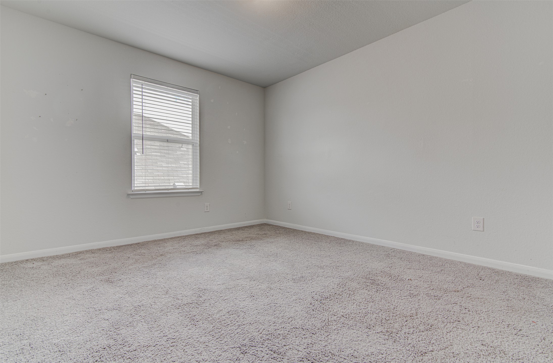 774 Cherrystone Loop Buda, TX 78610 - Photo 28 of 38 Comfortable carpeted flooring in this private bedroom, ready for personalization.