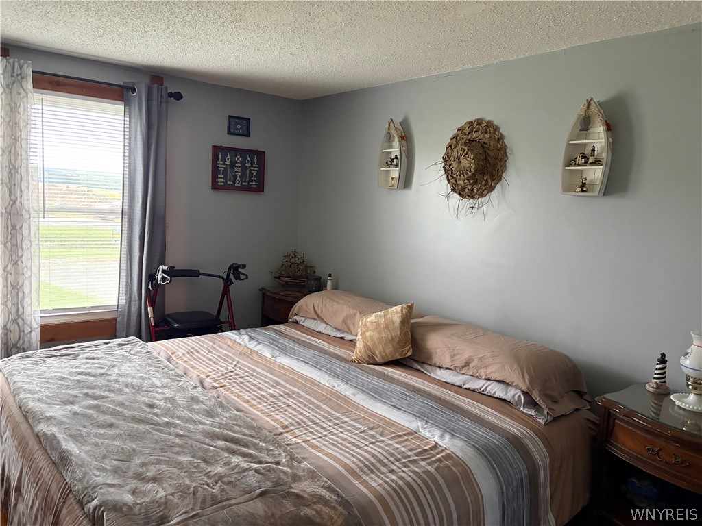 24 State Rte 243 Freedom, NY 14060 - Photo 20 of 29 PRIMARY BEDROOM