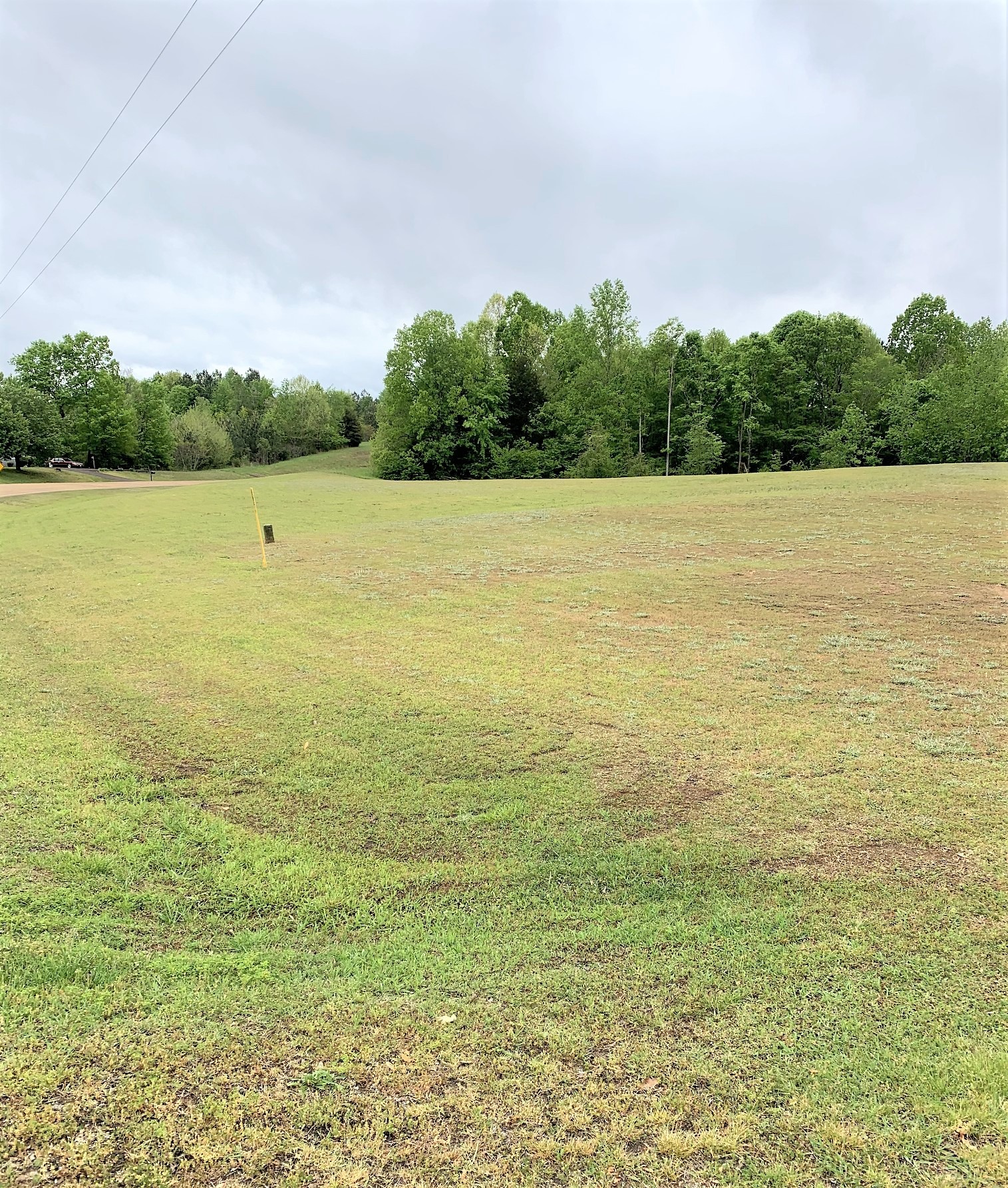 7664 3 Way Road Bath Springs, TN 38311 - Photo 2 of 22 Gallery Image 2