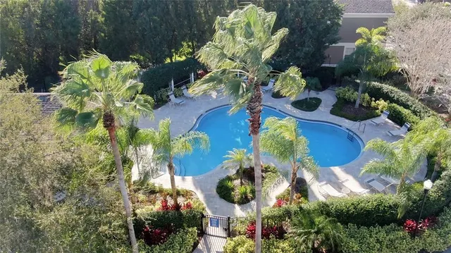 a view of a backyard with plants and large trees