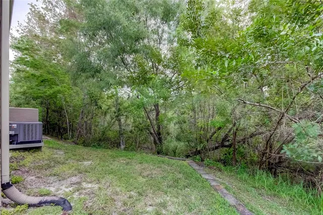 a view of backyard with green space