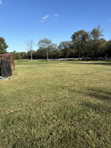 a view of a field with an ocean