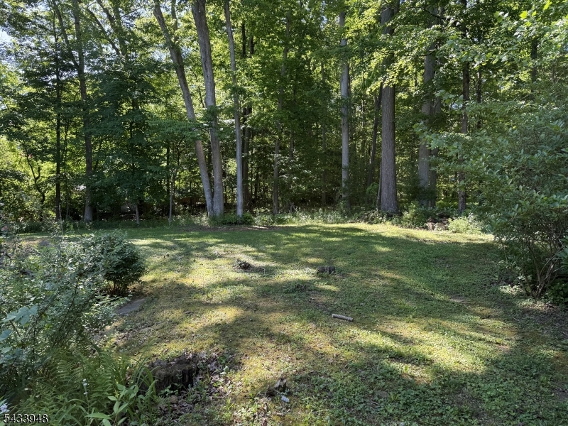 179 Old Turnpike Road Port Murray, NJ 07865 - Photo 6 of 8 a view of outdoor space with green field and trees all around