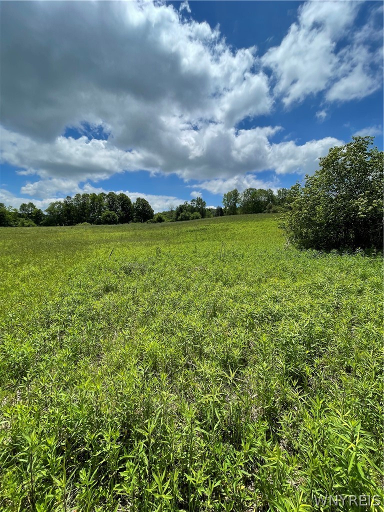 Lost Nations Road Freedom, NY 14065 - Photo 7 of 13
