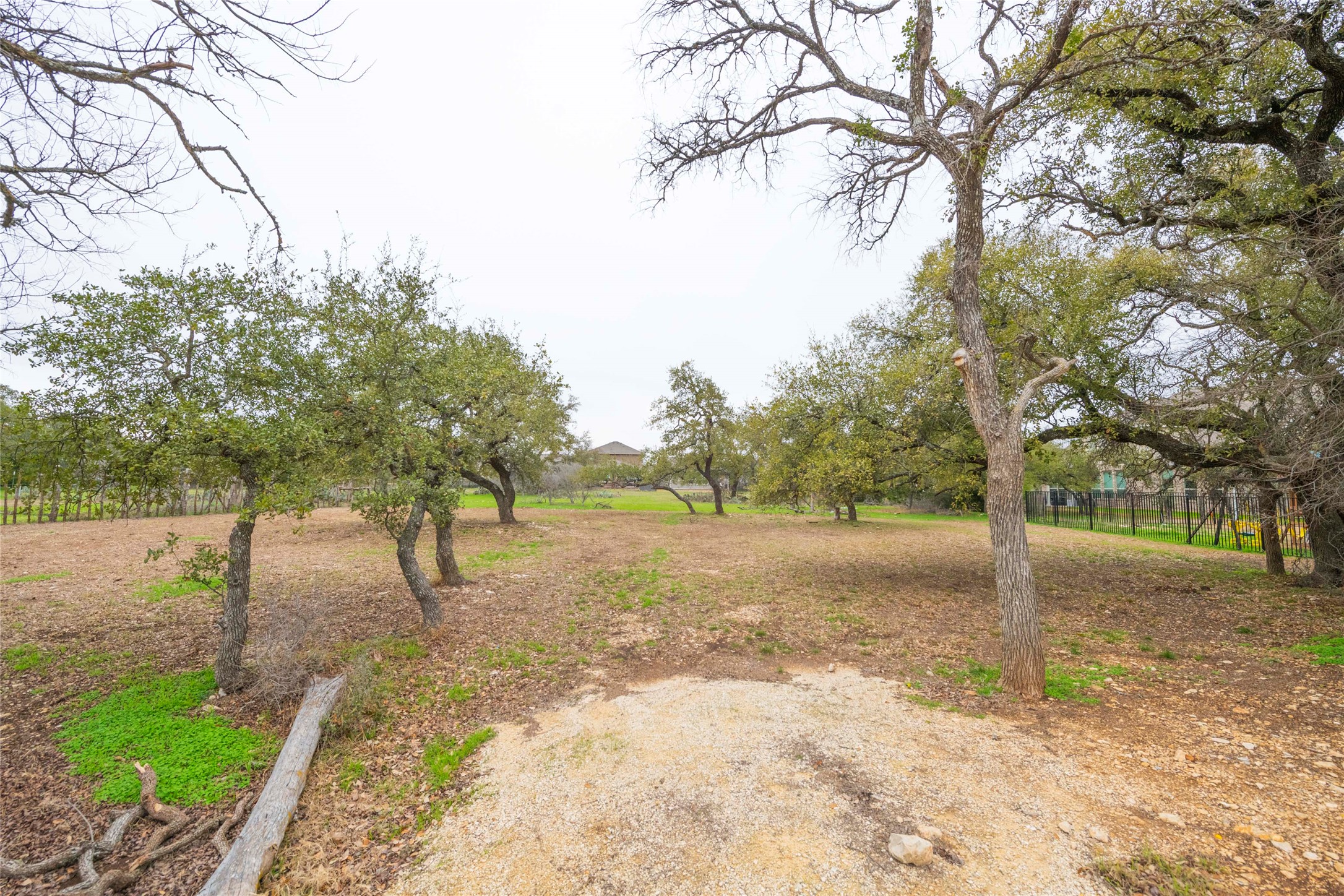 a view of a yard with trees