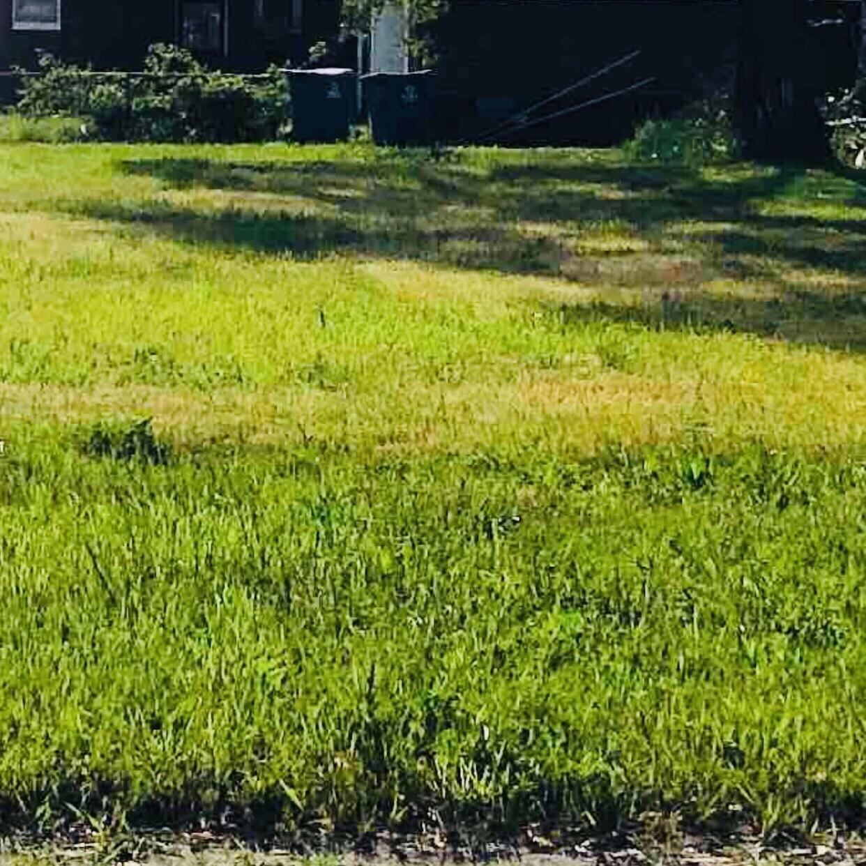 3688-94 Delaware Street Gary, IN 46409 - Photo 3 of 7 1242x1242