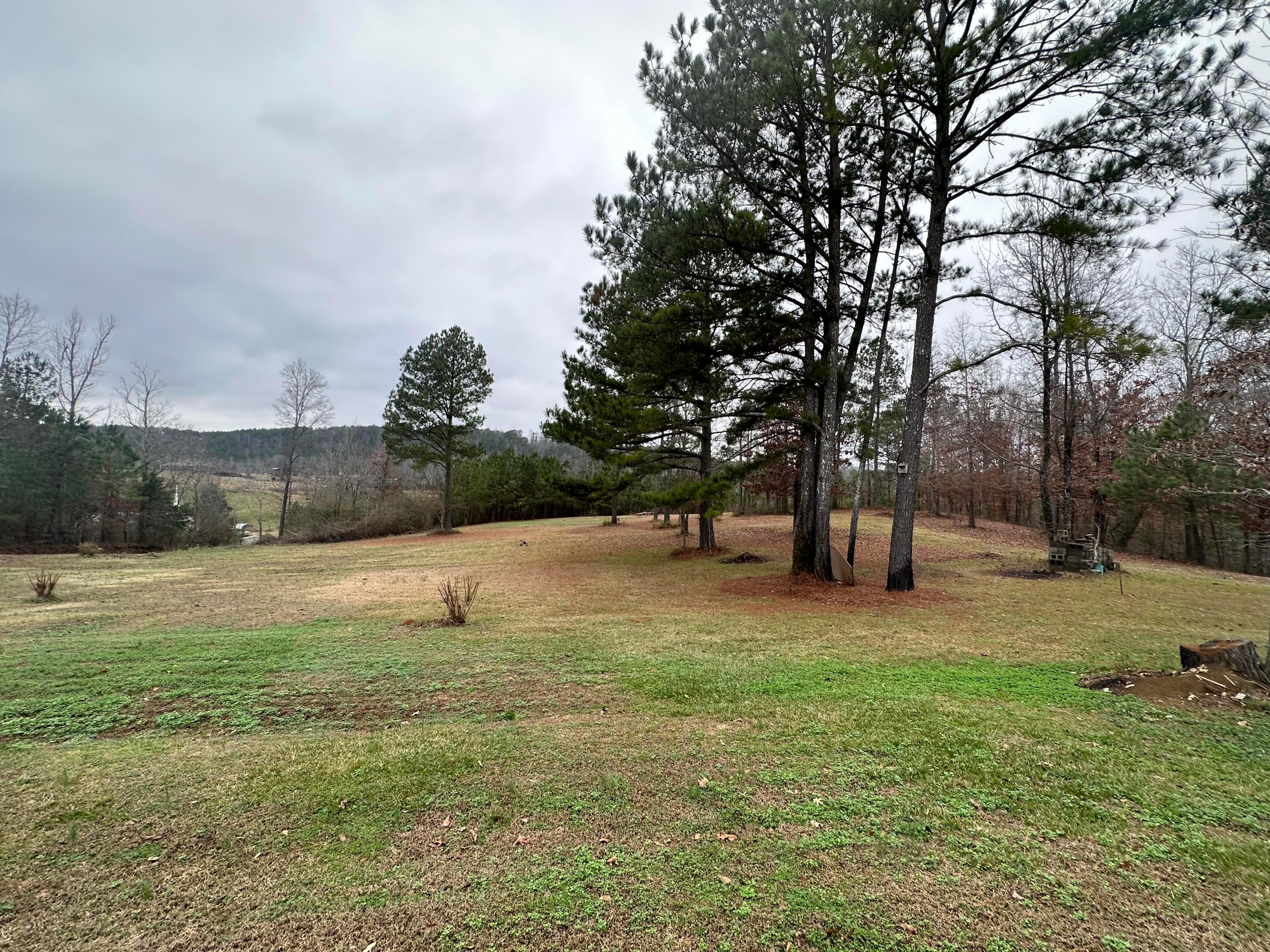 173 Barton Chapel Loop Road Cordova, AL 35550 - Photo 2 of 23 Gallery Image 2