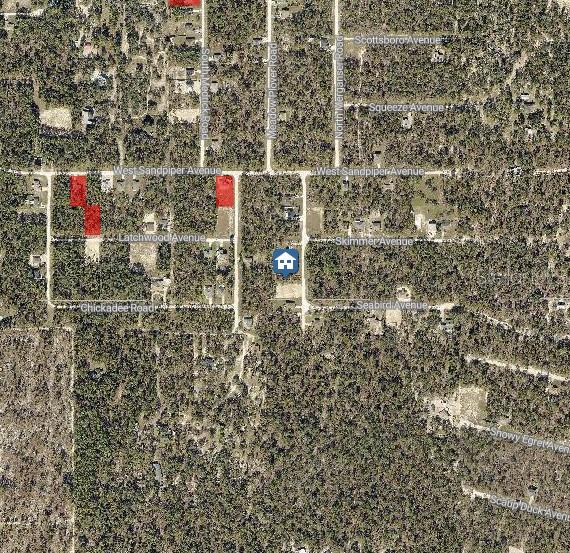 14 Magdalena Road Weeki Wachee, FL 34614 - Photo 3 of 4