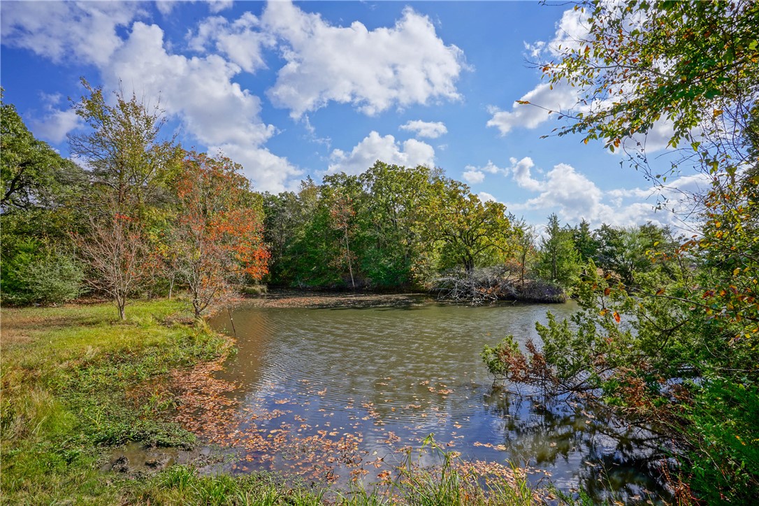 15290 State Highway 30 Anderson, TX 77830 - Photo 20 of 35