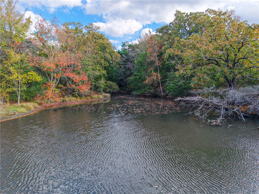 15290 State Highway 30 Anderson, TX 77830 - Photo 2 of 35