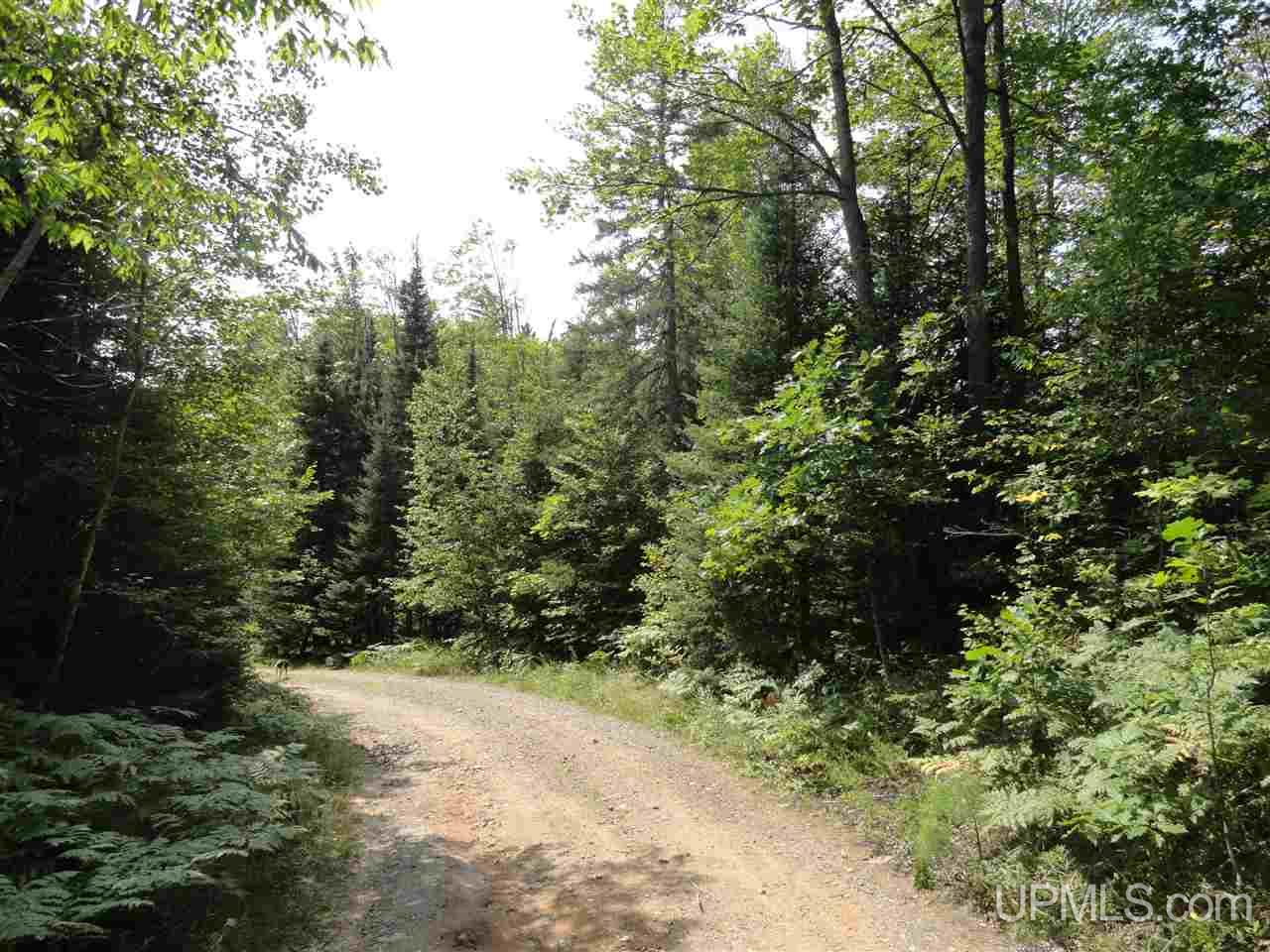 40-acres 40-acres Co Road Ishpeming, MI 49849 - Photo 23 of 36