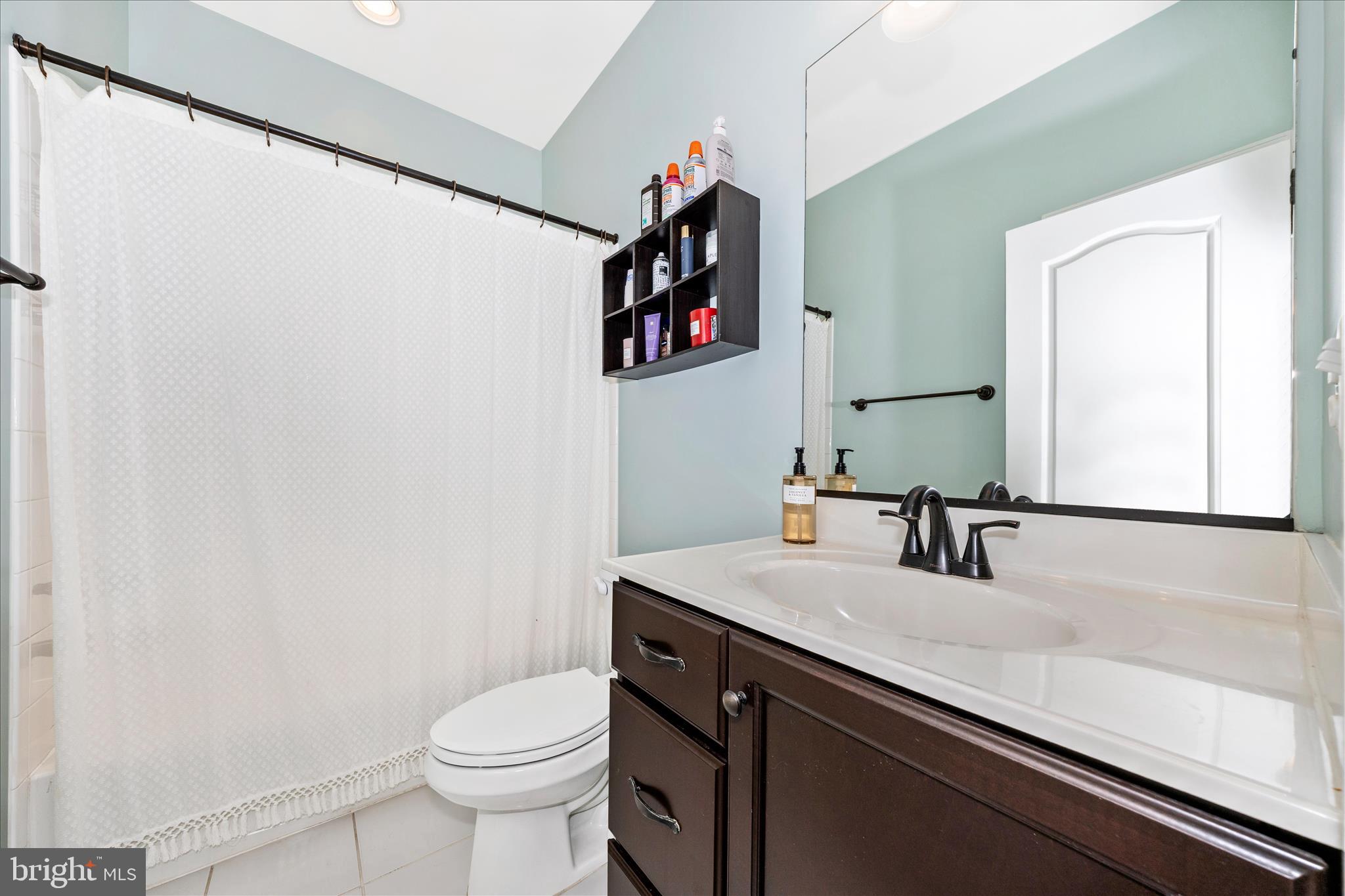 748 Potomac View Parkway Brunswick, MD 21716 - Photo 38 of 72 Hall Bathroom