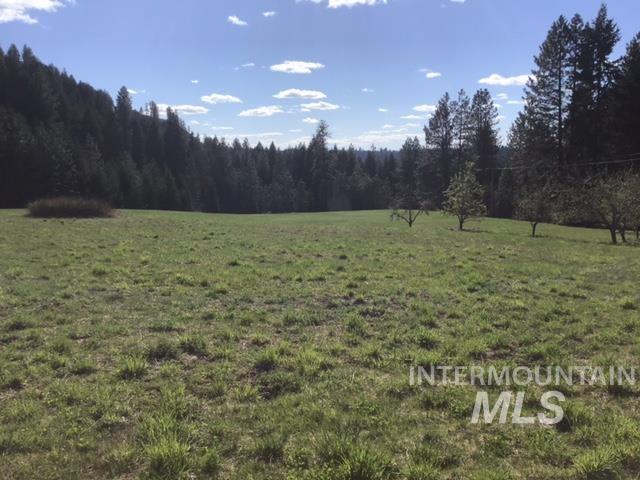 266 Falcon Ridge Road Kooskia, ID 83539 - Photo 47 of 50 Expansive open field all within a deer fence for growing crops or grazing animals.