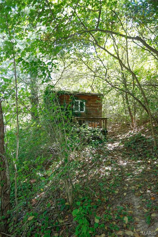 36 Arlie Barr Road Viburnum, MO 65566 - Photo 5 of 36