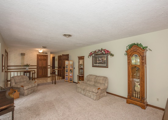 25967 Angel Ferry Road Geneseo, IL 61254 - Photo 12 of 23 Gallery Image 12