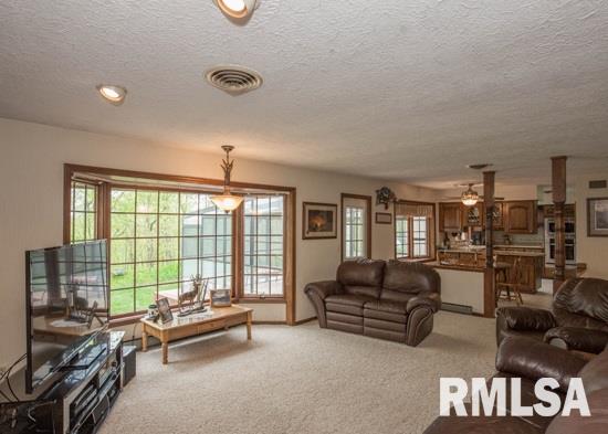 25967 Angel Ferry Road Geneseo, IL 61254 - Photo 14 of 23 Gallery Image 14