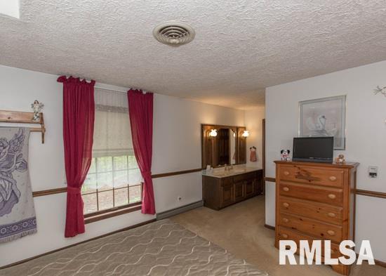 25967 Angel Ferry Road Geneseo, IL 61254 - Photo 15 of 23 Gallery Image 15