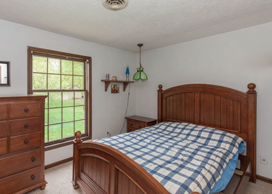 25967 Angel Ferry Road Geneseo, IL 61254 - Photo 17 of 23 Gallery Image 17
