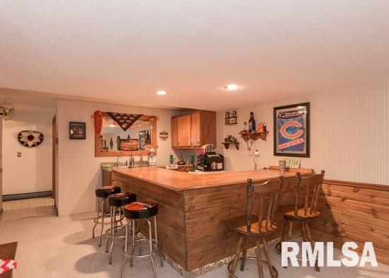 25967 Angel Ferry Road Geneseo, IL 61254 - Photo 19 of 23 Gallery Image 19