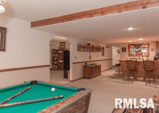 25967 Angel Ferry Road Geneseo, IL 61254 - Photo 20 of 23 Gallery Image 20