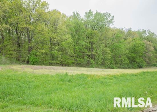 25967 Angel Ferry Road Geneseo, IL 61254 - Photo 5 of 23 Gallery Image 5
