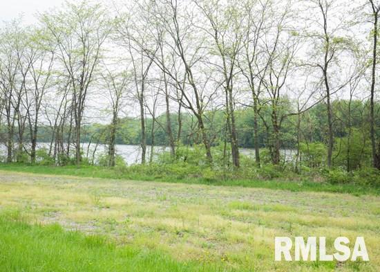 25967 Angel Ferry Road Geneseo, IL 61254 - Photo 6 of 23 Gallery Image 6