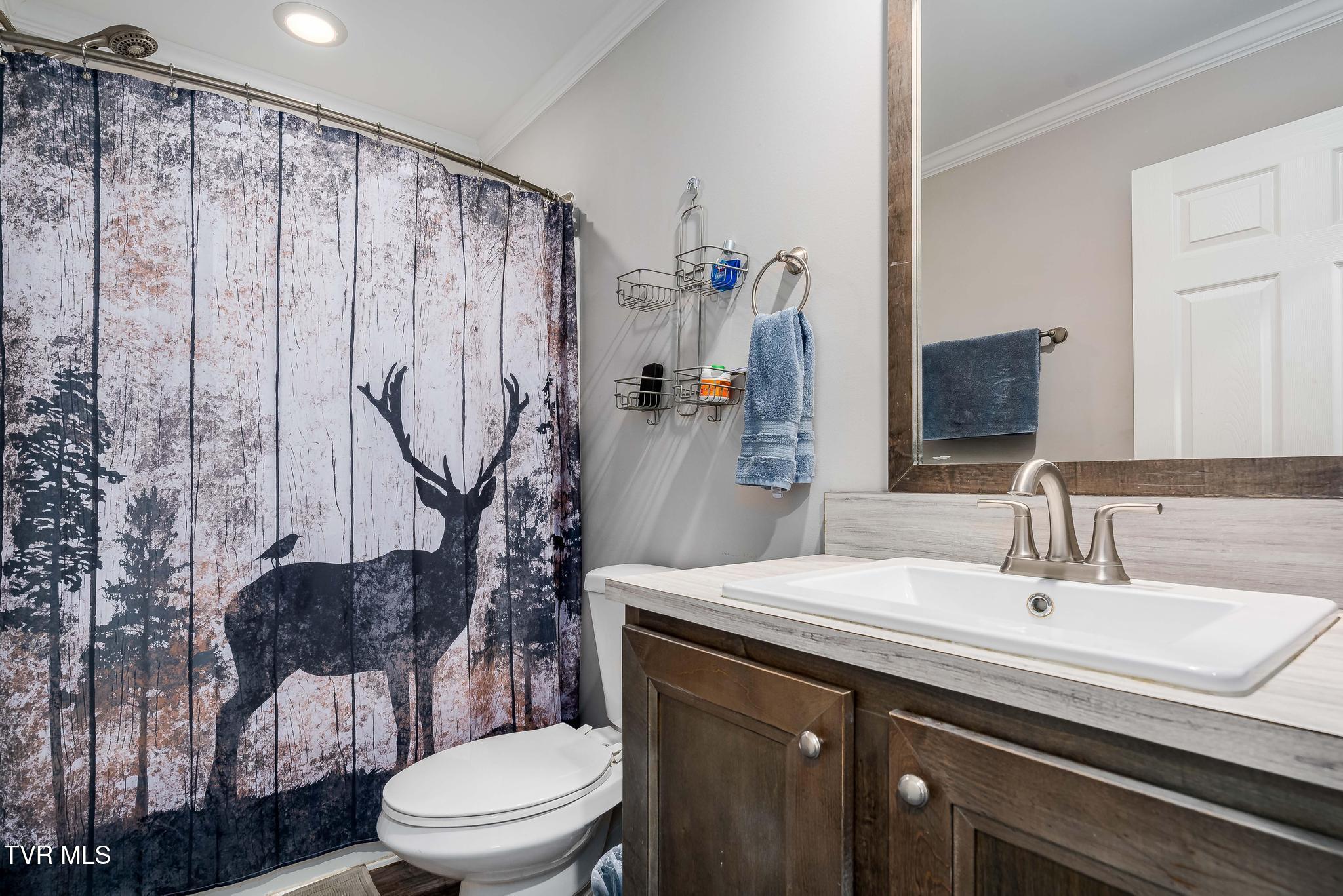 3146 Divide Road Mountain City, TN 37683 - Photo 55 of 95 3146 Divide Rd (89 of 101)