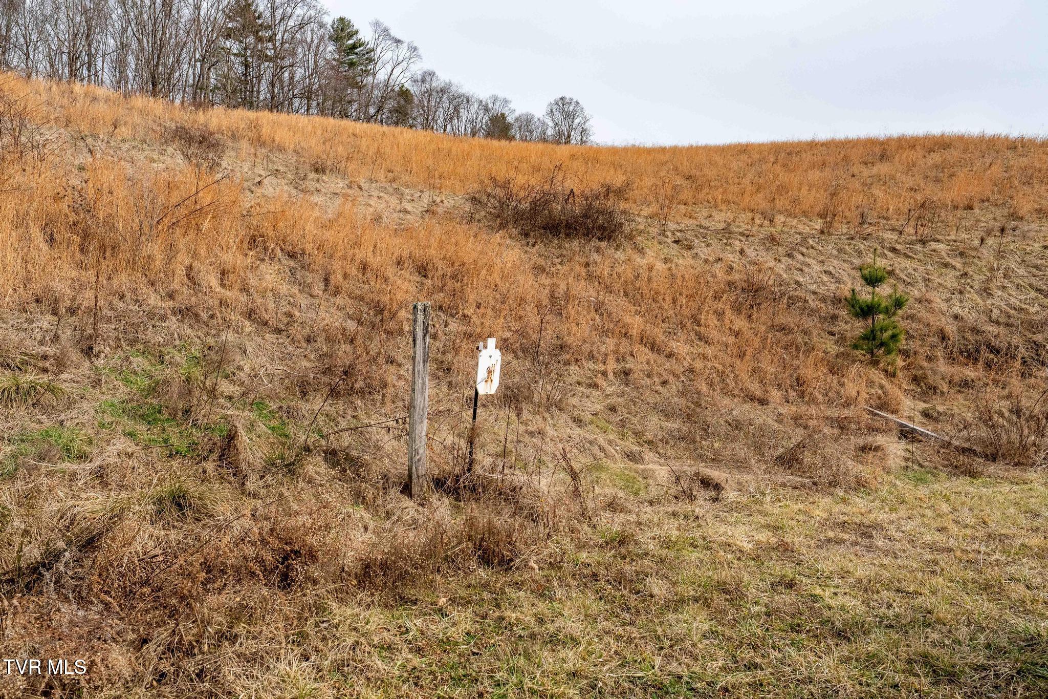 3146 Divide Road Mountain City, TN 37683 - Photo 74 of 95 3146 Divide Rd (75 of 101)