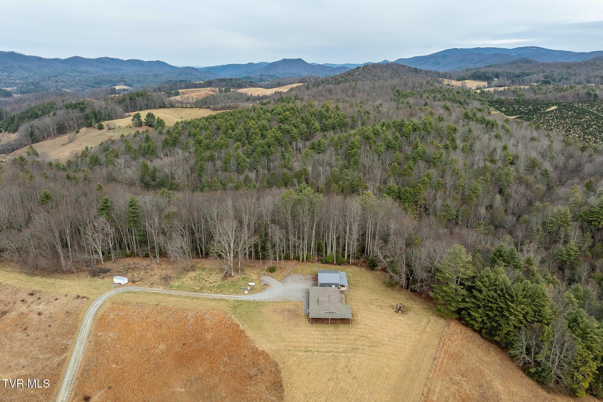 3146 Divide Road Mountain City, TN 37683 - Photo 83 of 95 3146 Divide Rd (19 of 101)