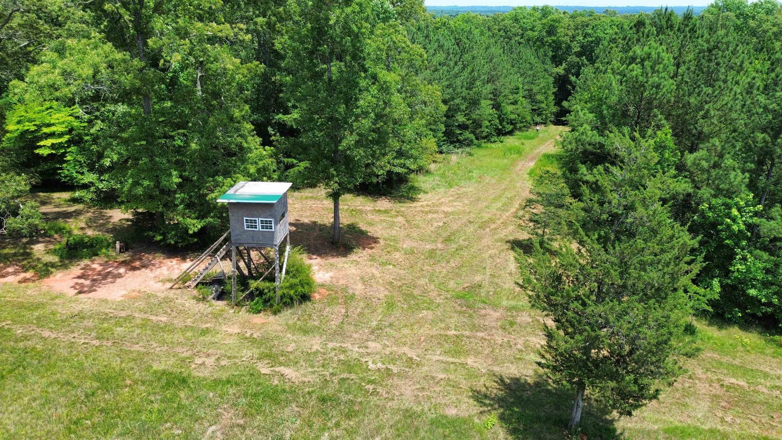 246 Lee Road Jonesville, SC 29353 - Photo 6 of 38
