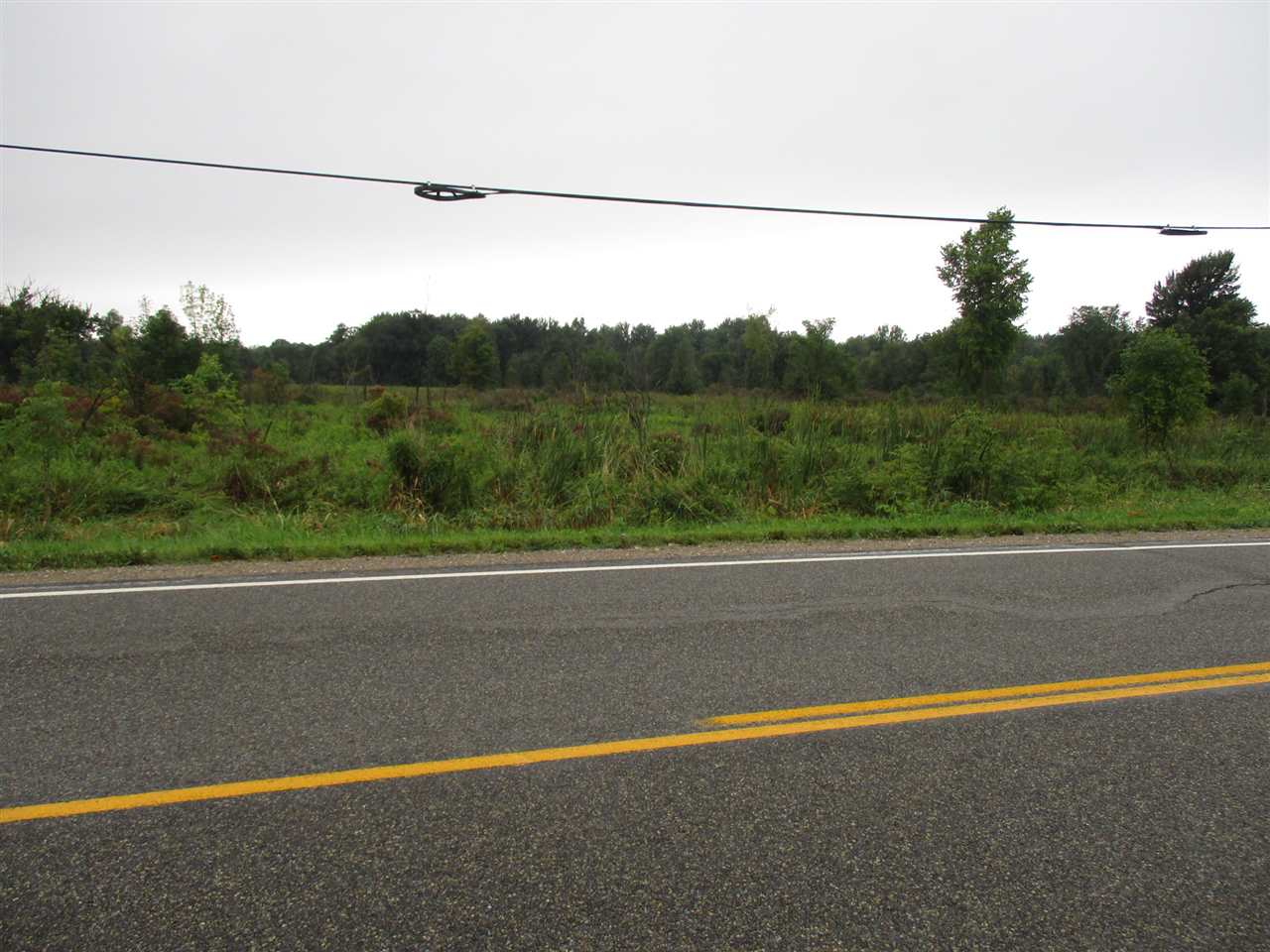 0 South State Road Owosso, MI 48867 - Photo 10 of 13