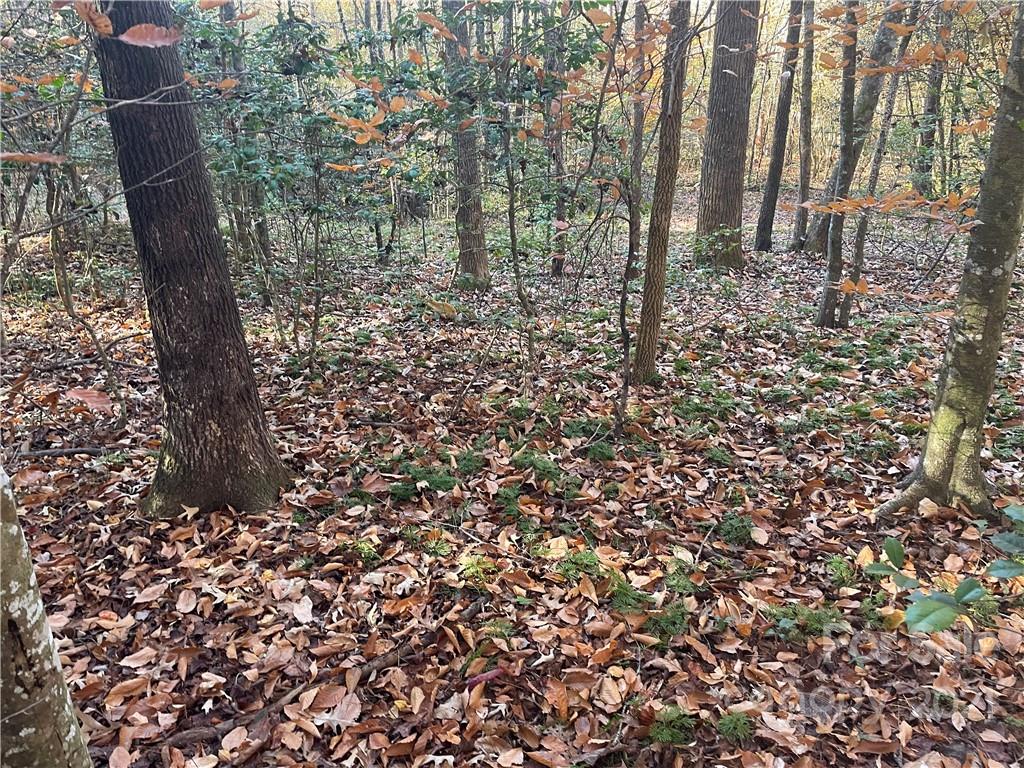 23 Lukes Loop Marion, NC 28752 - Photo 12 of 18 Gallery Image 12