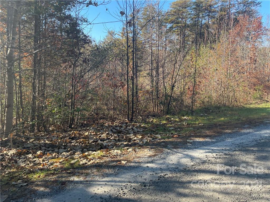 23 Lukes Loop Marion, NC 28752 - Photo 5 of 18 Gallery Image 5