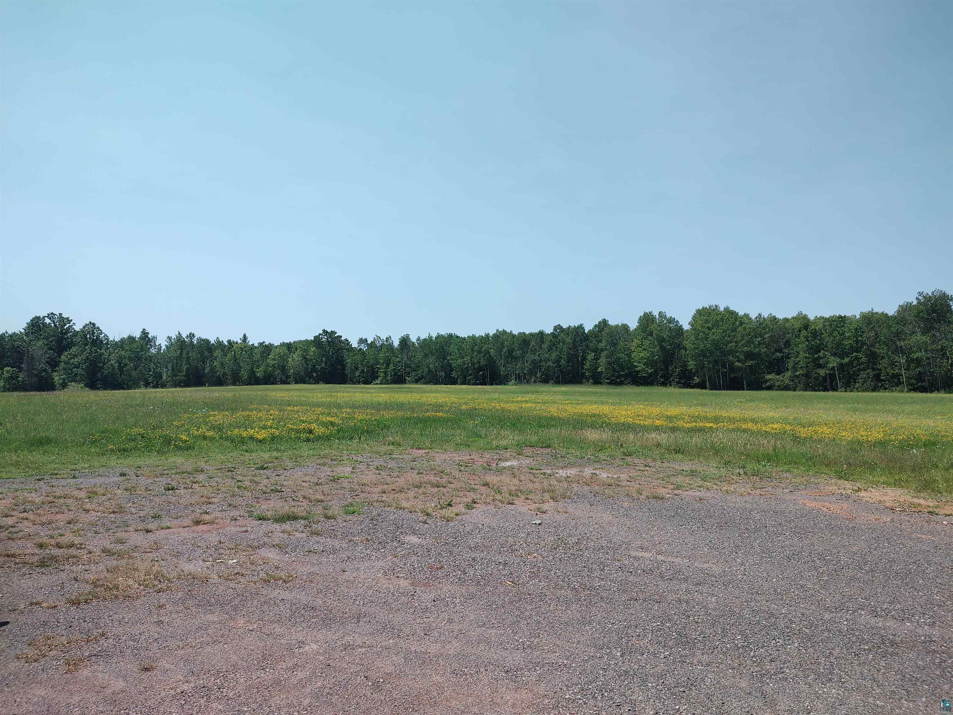 2585 Hautala Road Iron River, WI 54847 - Photo 26 of 28 Expansive open field featuring green grasses and scattered yellow wildflowers