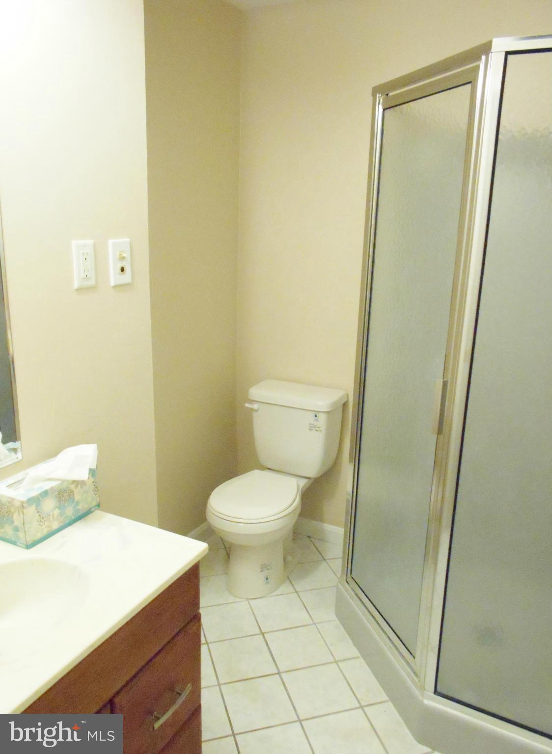 508 Clarks Run Road La Plata, MD 20646 - Photo 23 of 30 Lower Level Hall Bath