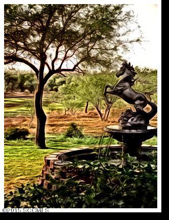 15750 West Hardscrabble Road Arivaca, AZ 85601 - Photo 4 of 33