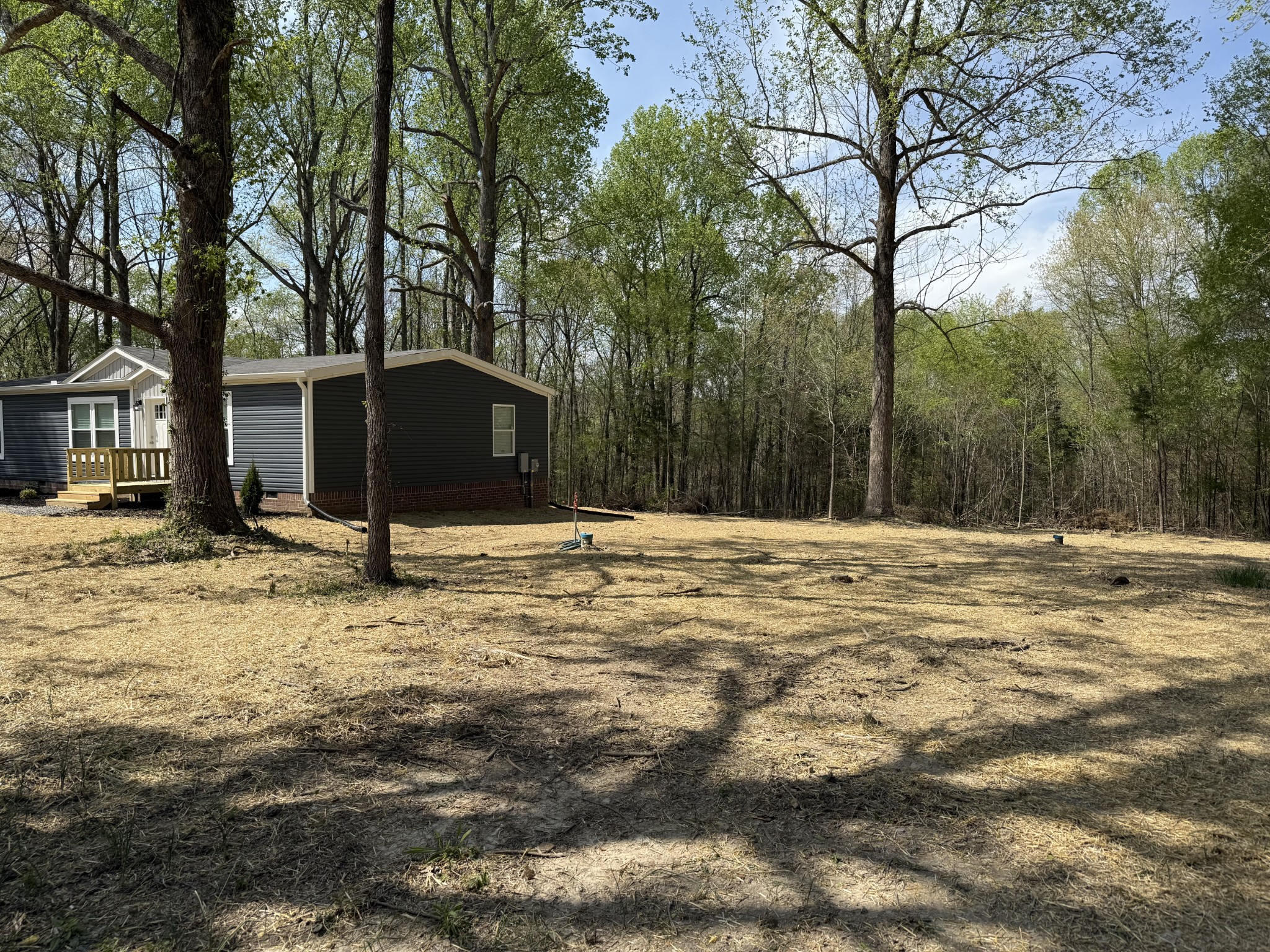 202 Carter Ridge Road Westmoreland, TN 37186 - Photo 12 of 45 Gallery Image 12