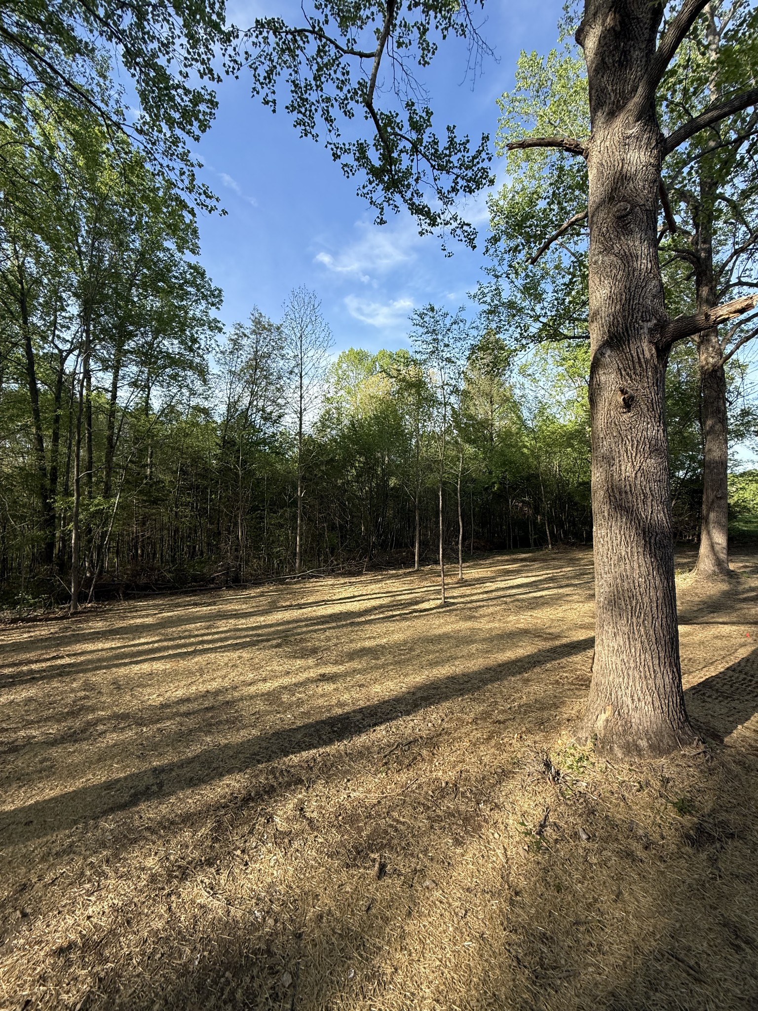 202 Carter Ridge Road Westmoreland, TN 37186 - Photo 13 of 45 Gallery Image 13