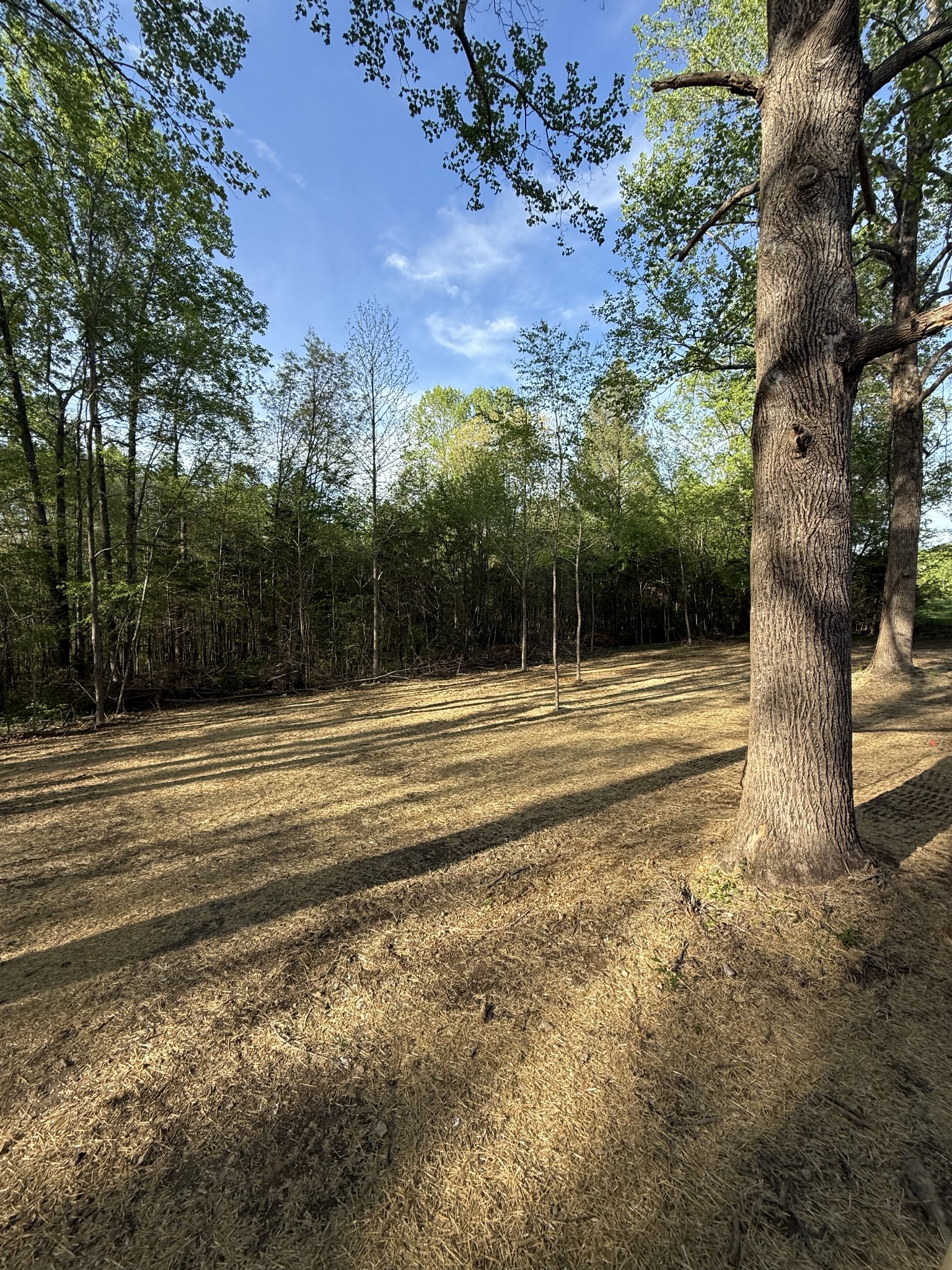 202 Carter Ridge Road Westmoreland, TN 37186 - Photo 15 of 45 Gallery Image 15