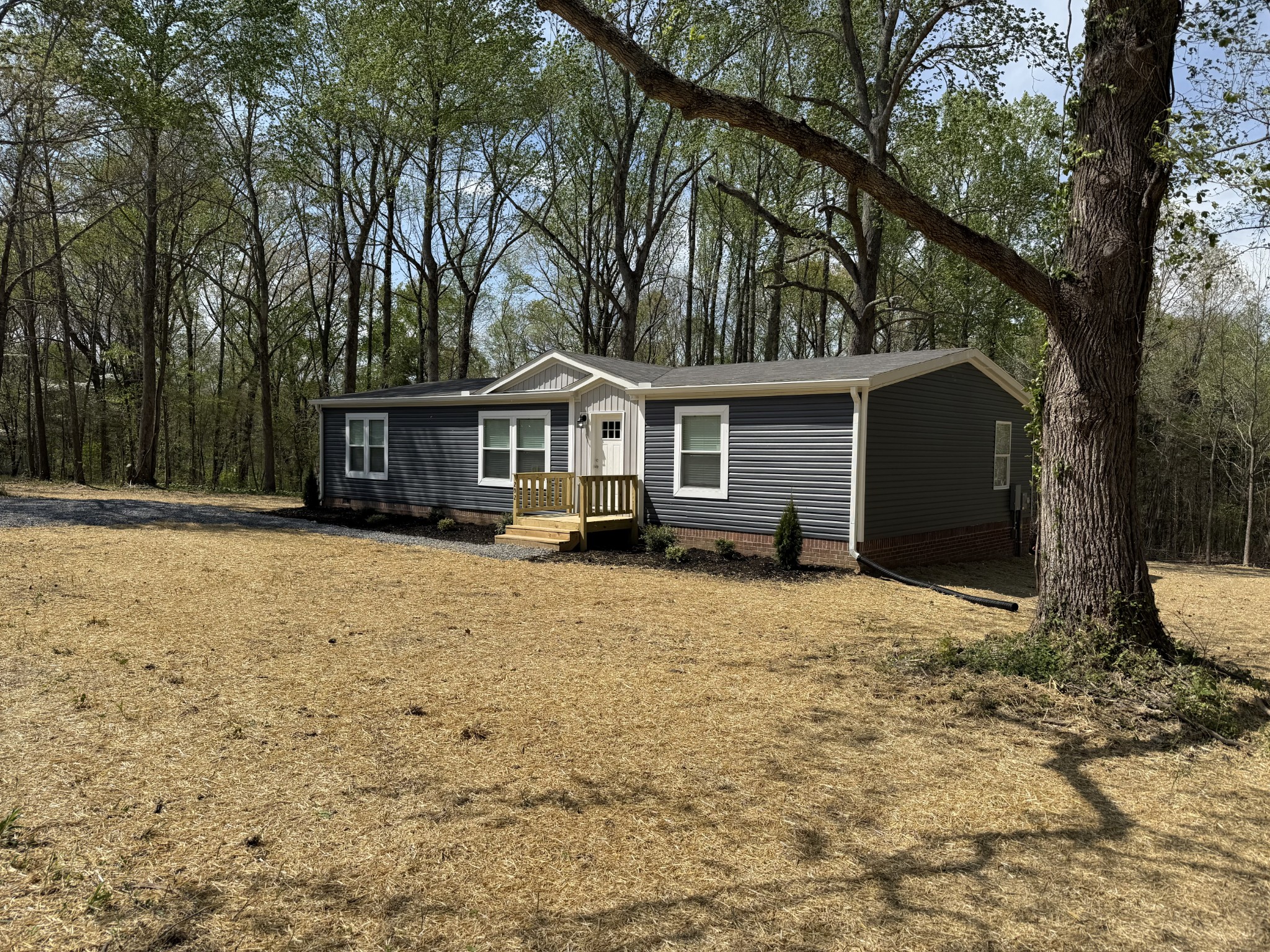 202 Carter Ridge Road Westmoreland, TN 37186 - Photo 2 of 45 Gallery Image 2