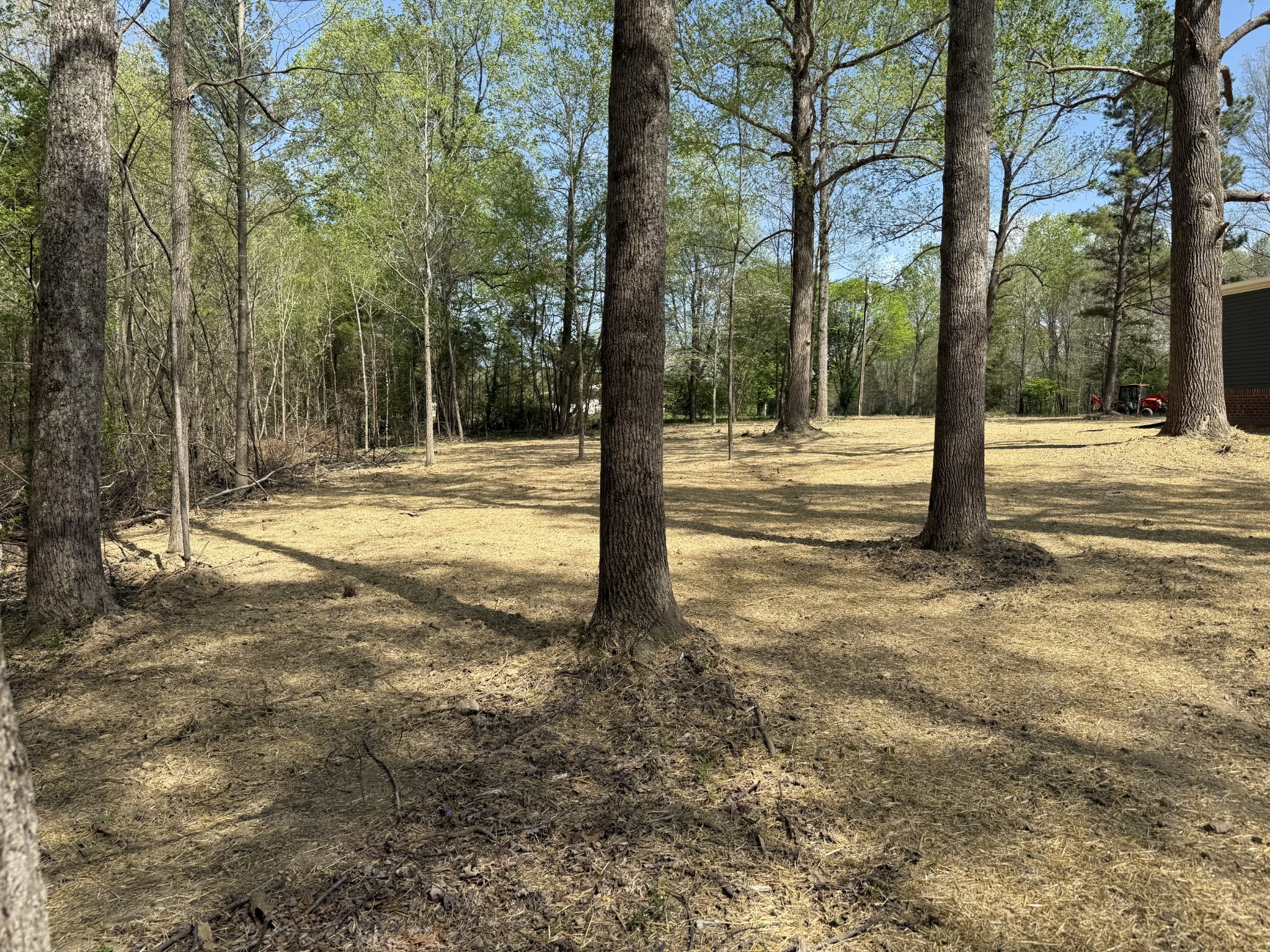 202 Carter Ridge Road Westmoreland, TN 37186 - Photo 6 of 45 Gallery Image 6