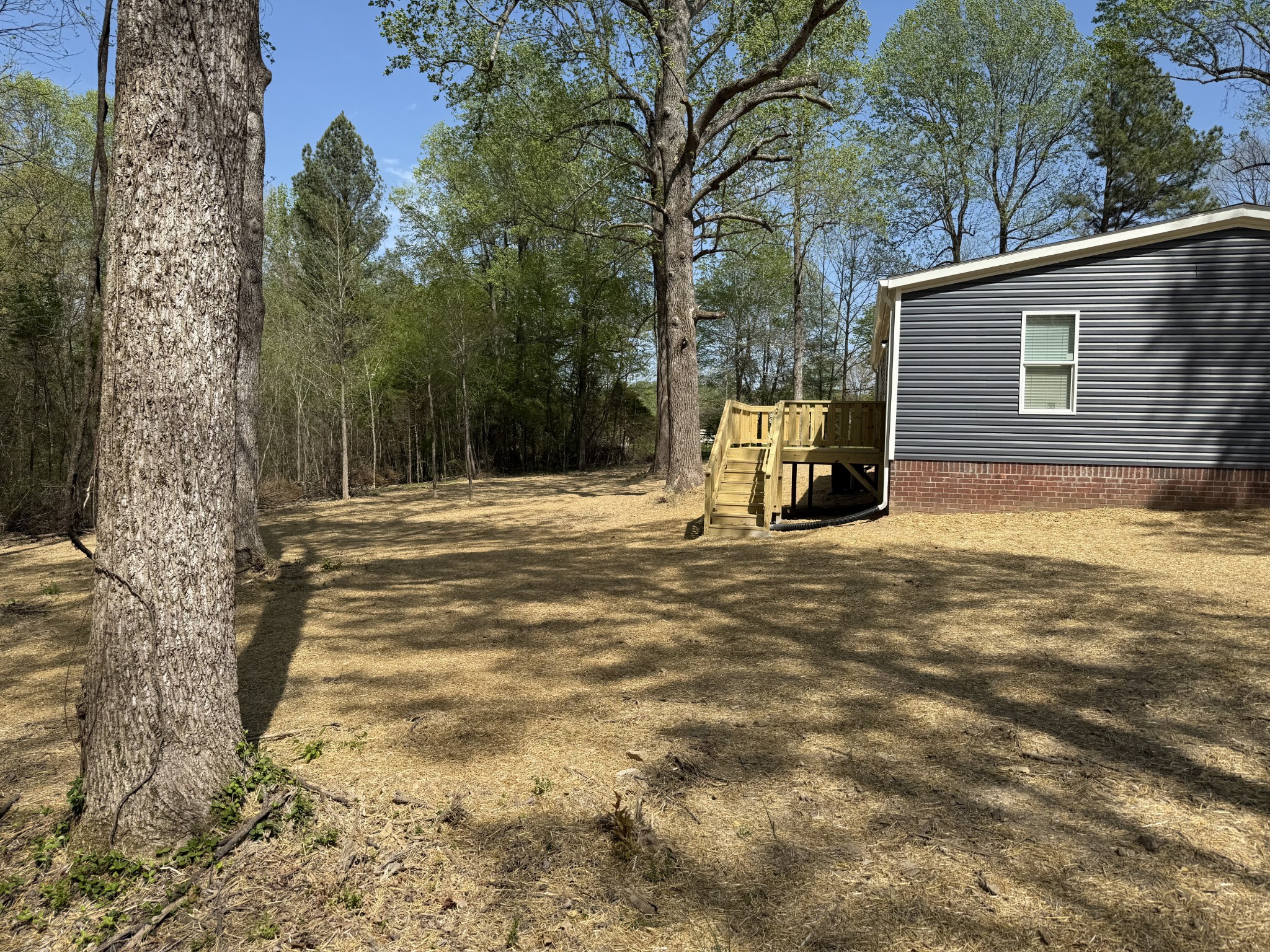 202 Carter Ridge Road Westmoreland, TN 37186 - Photo 8 of 45 Gallery Image 8