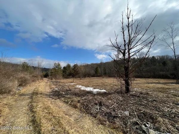 $499,000 | L1 Rathbunville Lane, Comstock, NY 12821