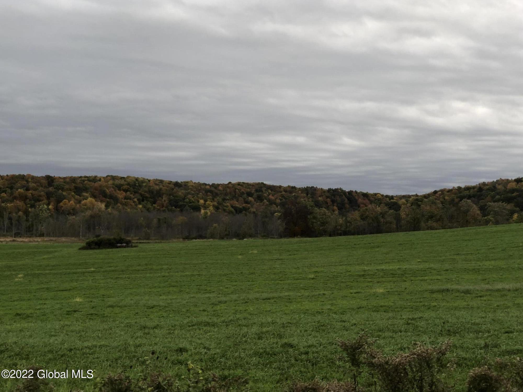 L1 Rathbunville Lane Comstock, NY 12821 - Photo 14 of 18 IMG_2568