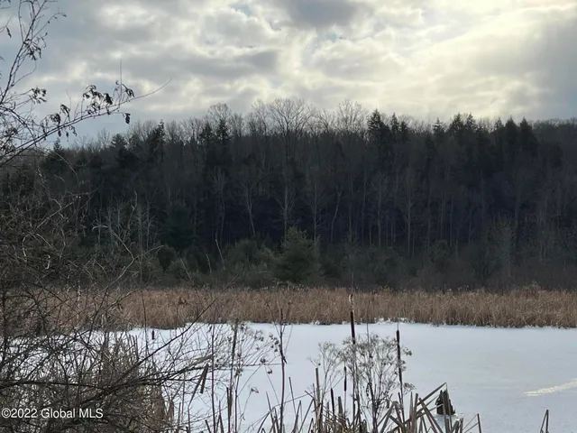 $499,000 | L1 Rathbunville Lane, Comstock, NY 12821