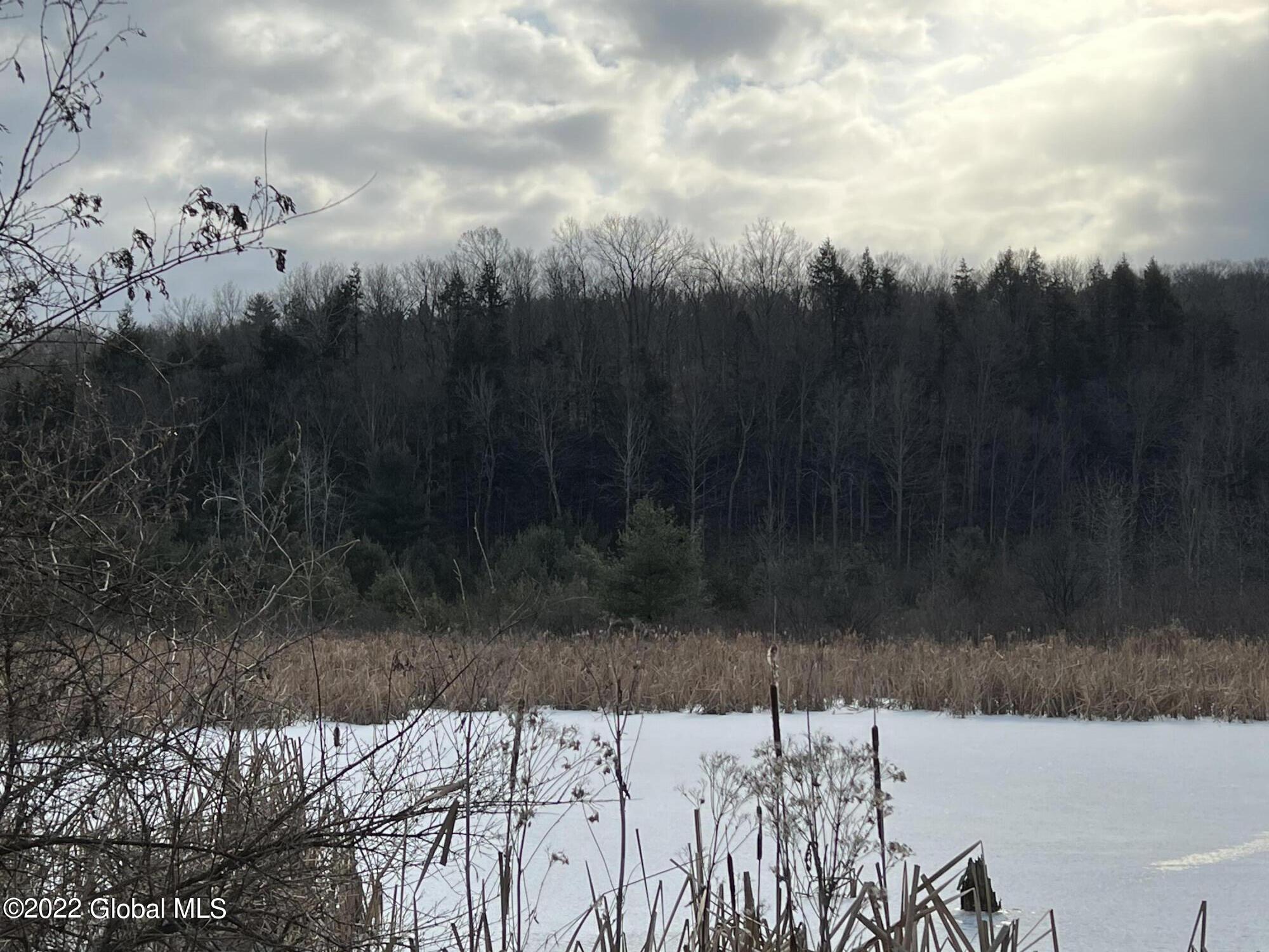 L1 Rathbunville Lane Comstock, NY 12821 - Photo 15 of 18 IMG_0378