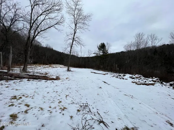 $499,000 | L1 Rathbunville Lane, Comstock, NY 12821