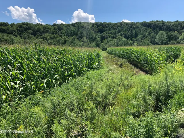 $499,000 | L1 Rathbunville Lane, Comstock, NY 12821