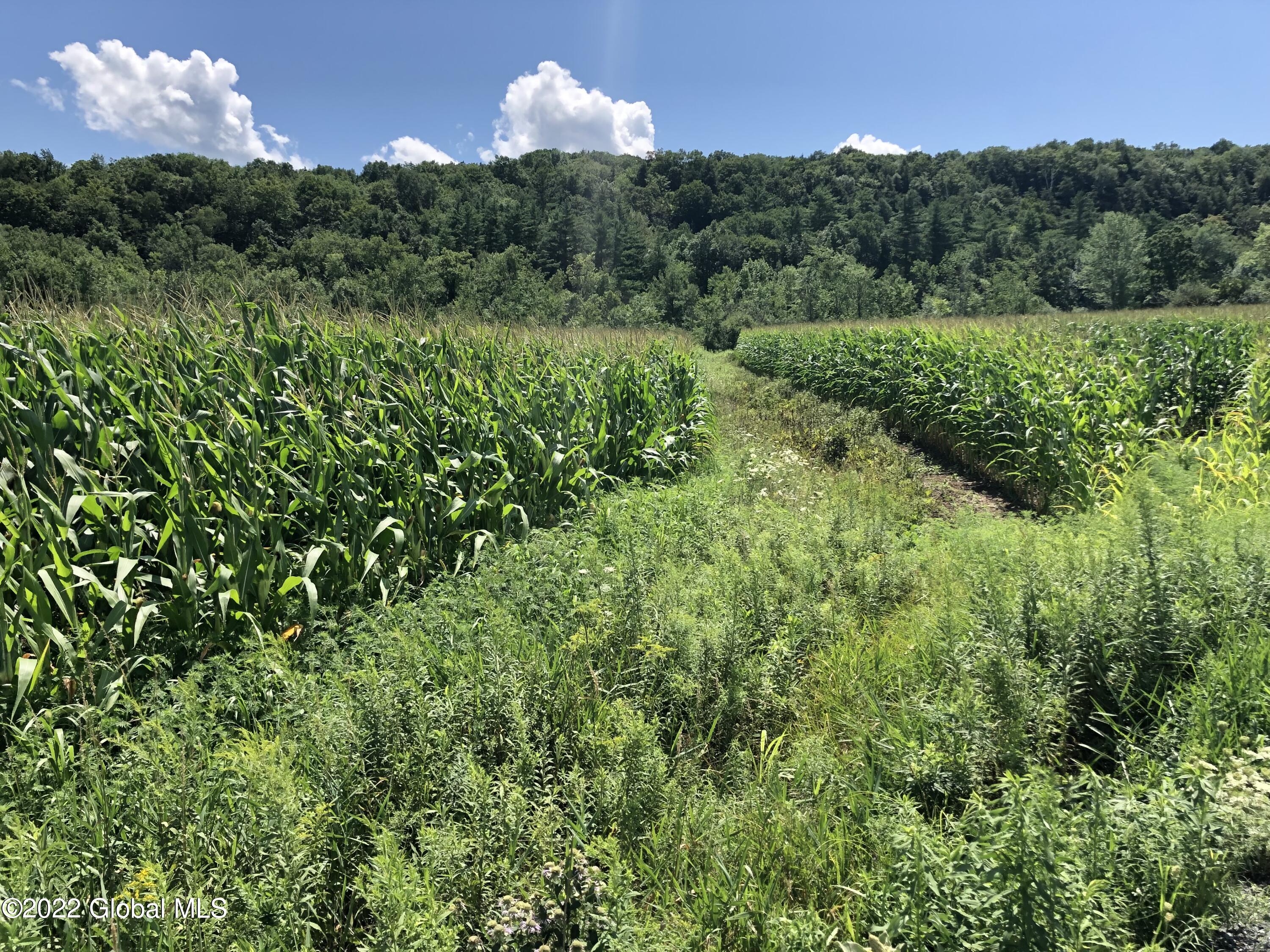 L1 Rathbunville Lane Comstock, NY 12821 - Photo 3 of 18 IMG_4674